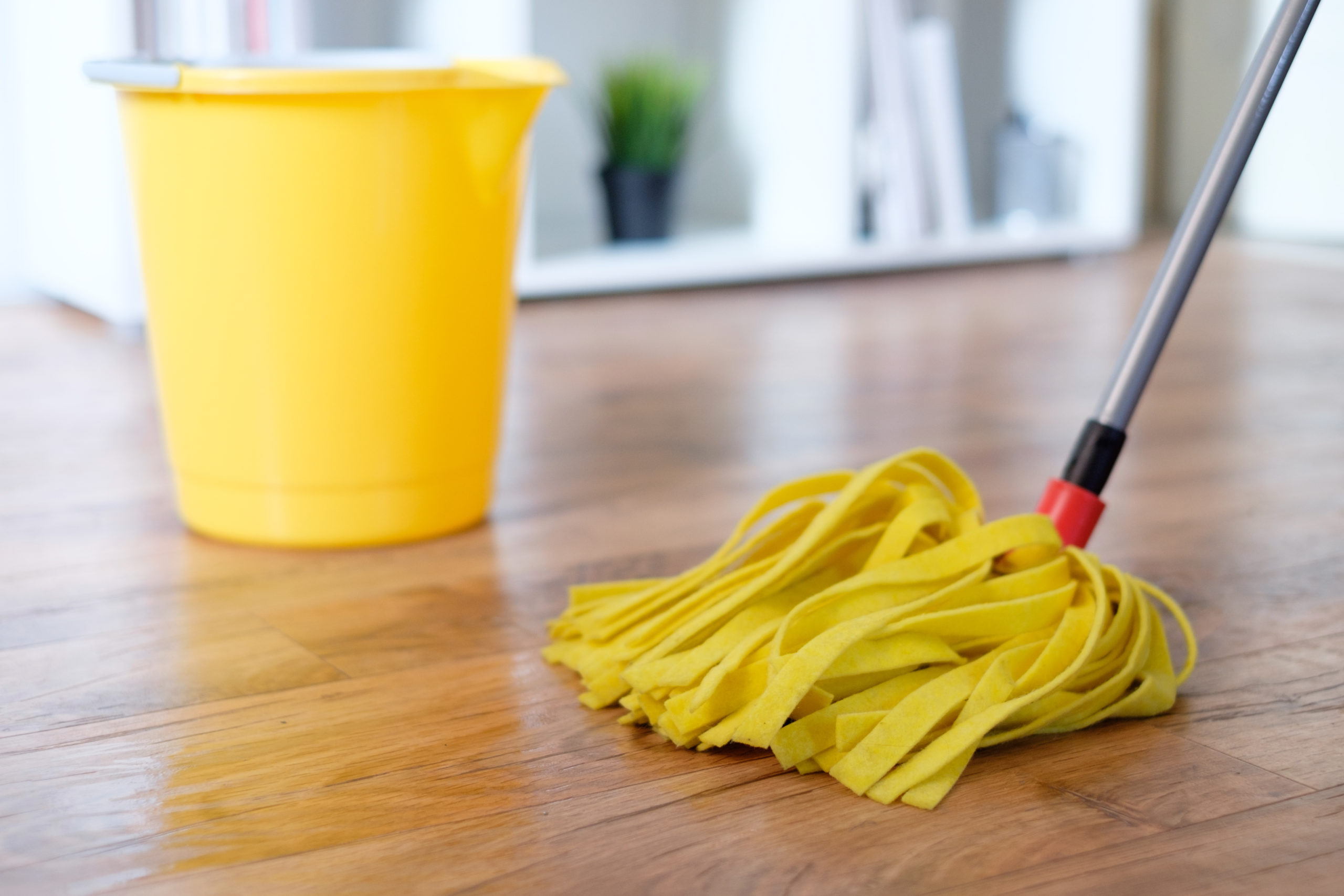 Are Steam Mops Good for Hardwood?